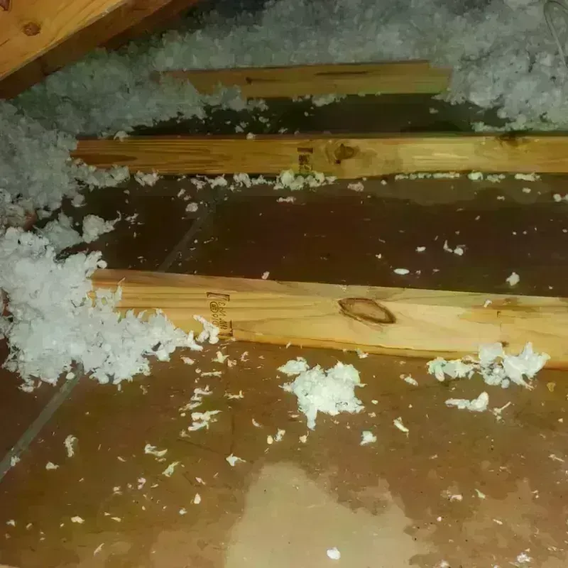 Attic Water Damage in Nevada County, CA