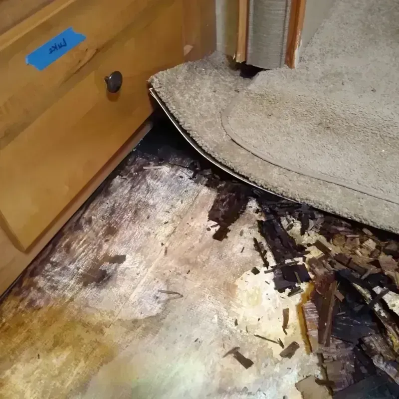 Wood Floor Water Damage in Nevada County, CA